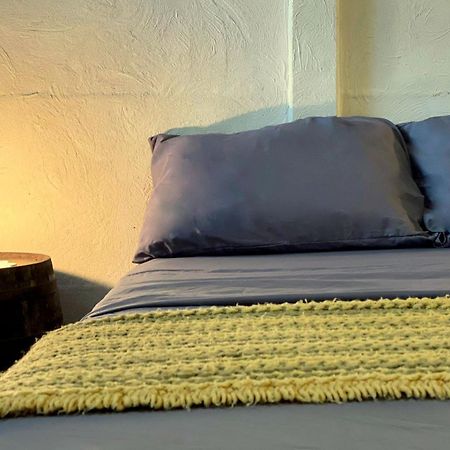 Smile Jungle Hostel Puerto Viejo de Talamanca エクステリア 写真