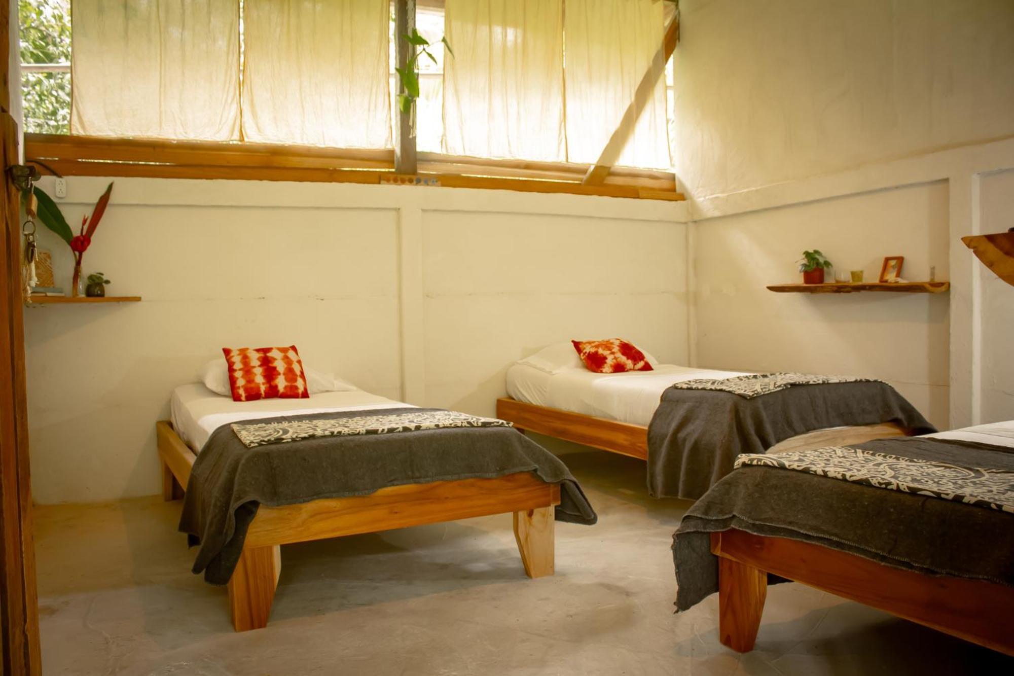 Smile Jungle Hostel Puerto Viejo de Talamanca 部屋 写真