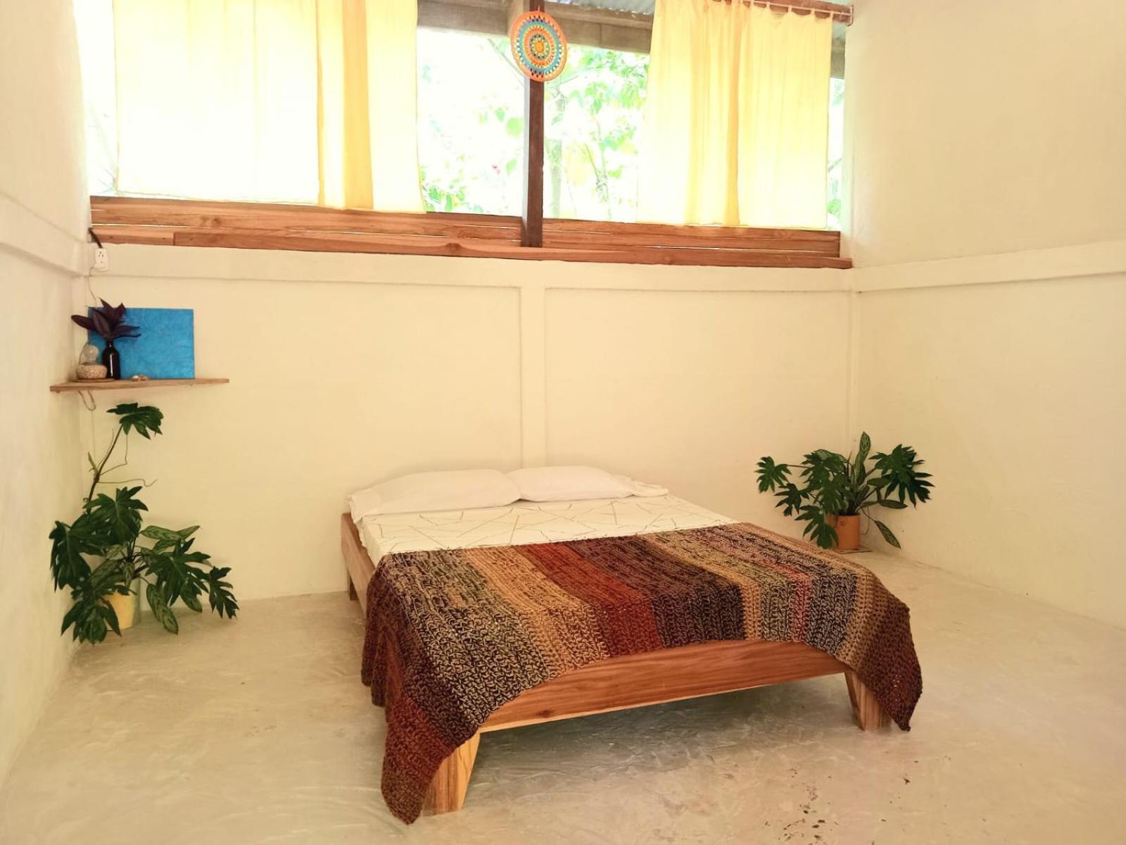 Smile Jungle Hostel Puerto Viejo de Talamanca 部屋 写真