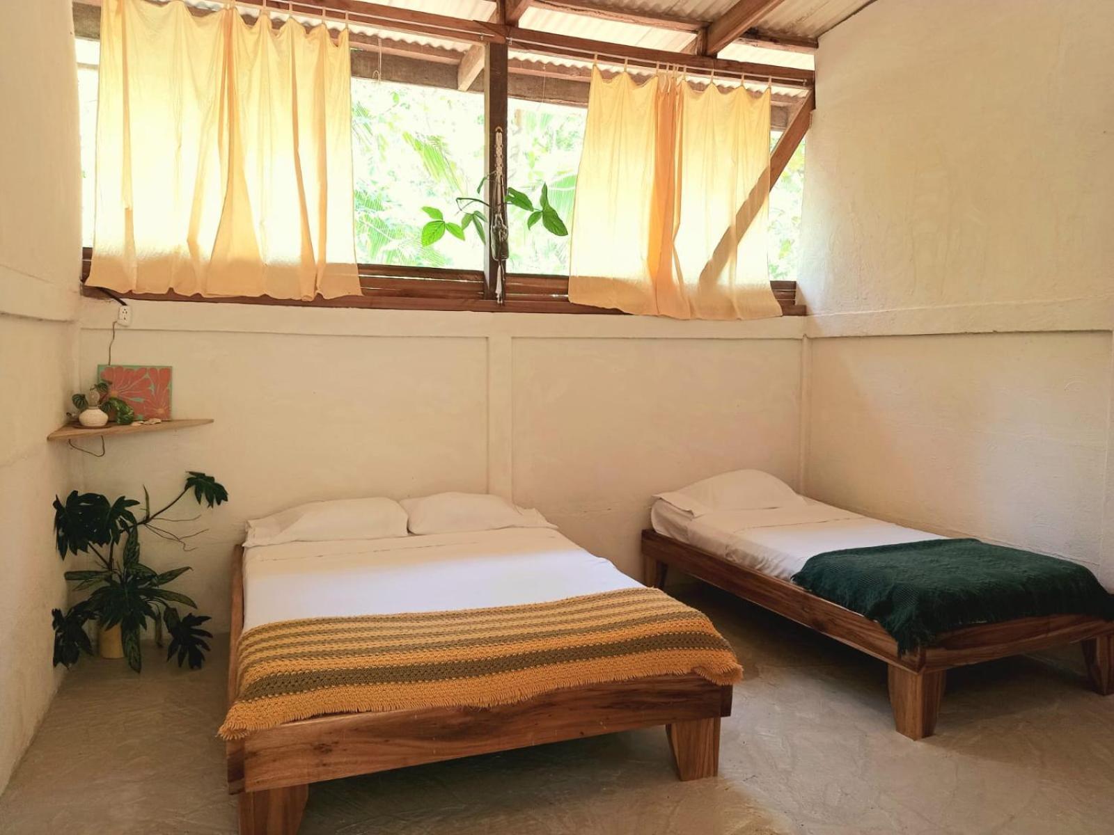 Smile Jungle Hostel Puerto Viejo de Talamanca エクステリア 写真