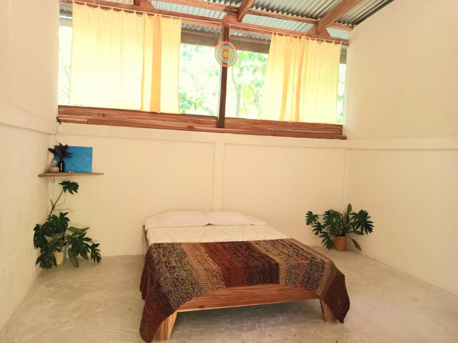 Smile Jungle Hostel Puerto Viejo de Talamanca エクステリア 写真