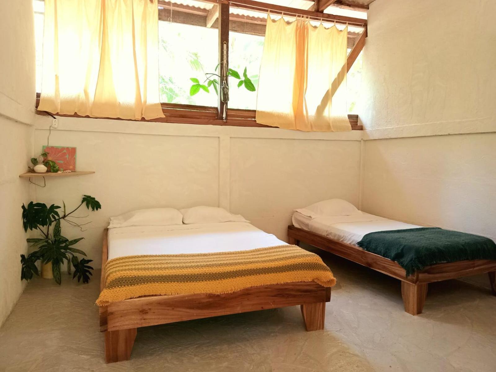 Smile Jungle Hostel Puerto Viejo de Talamanca 部屋 写真