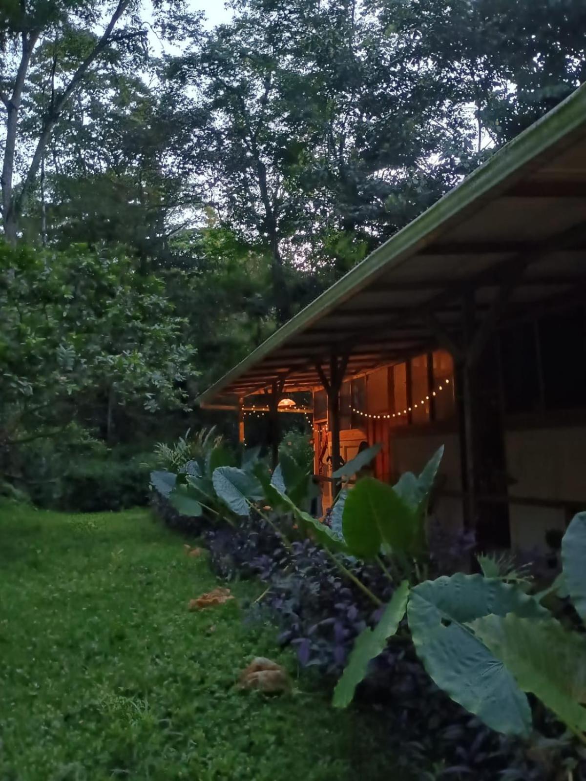 Smile Jungle Hostel Puerto Viejo de Talamanca エクステリア 写真