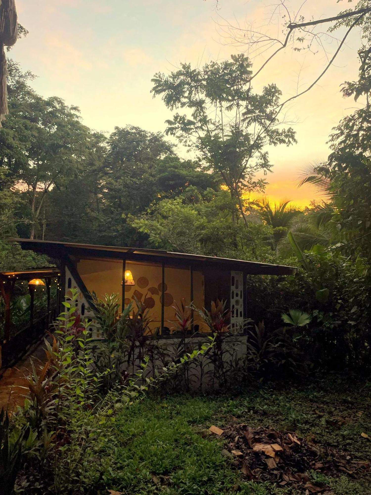 Smile Jungle Hostel Puerto Viejo de Talamanca エクステリア 写真