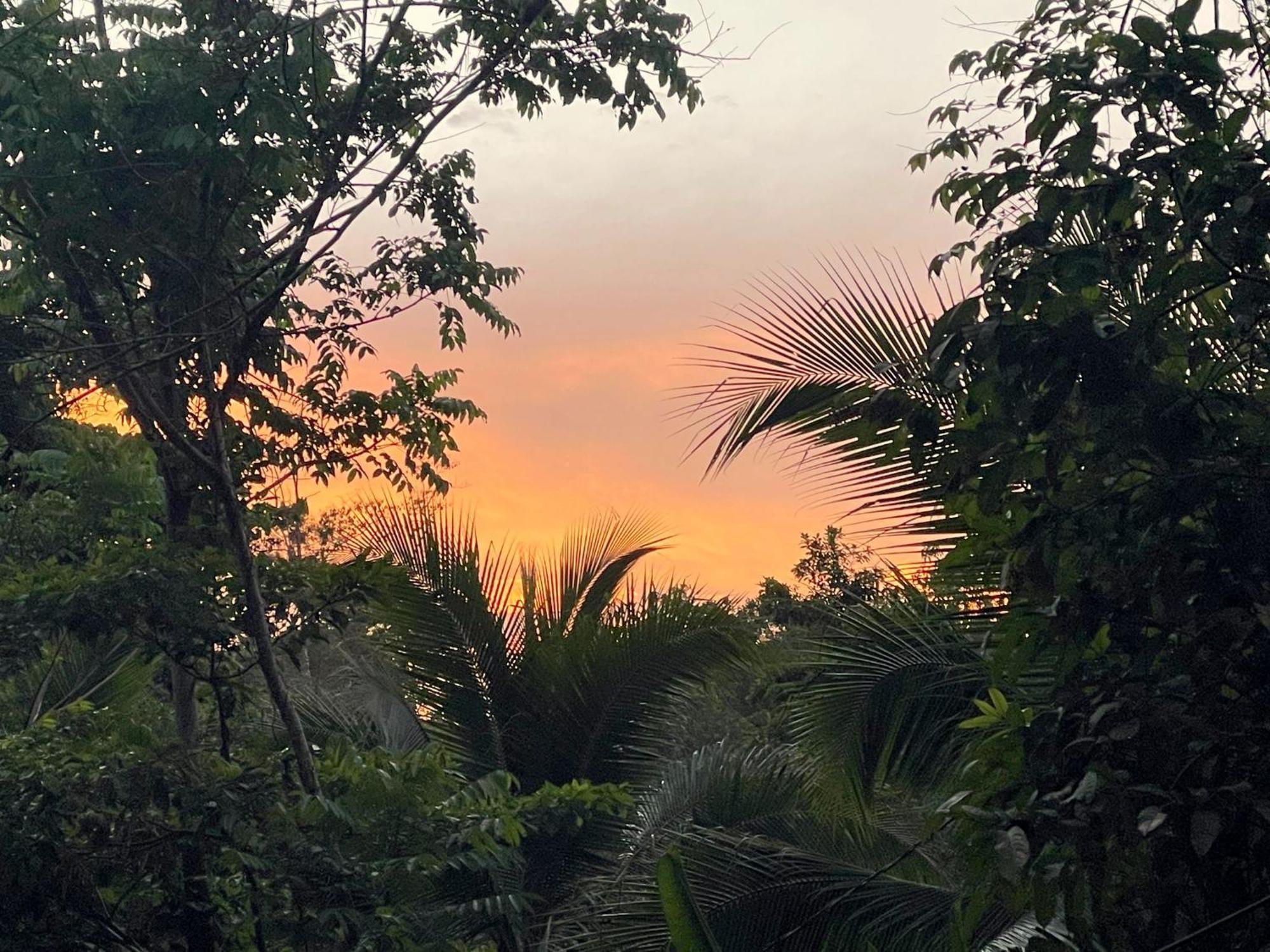 Smile Jungle Hostel Puerto Viejo de Talamanca エクステリア 写真